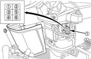 Detalle de una caja de fusibles automotriz con varios fusibles.